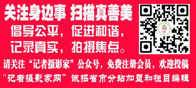 一天收上萬補票錢——景區(qū)人員蹲樹林攔逃票者