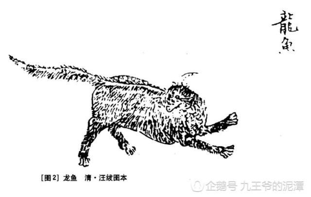《山海經(jīng)》古人如何看有龍字的動(dòng)物呢？奇獸龍魚(yú)
