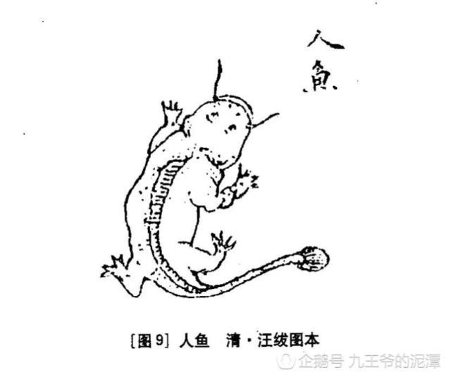 《山海經(jīng)》古人如何看有龍字的動(dòng)物呢？奇獸龍魚(yú)