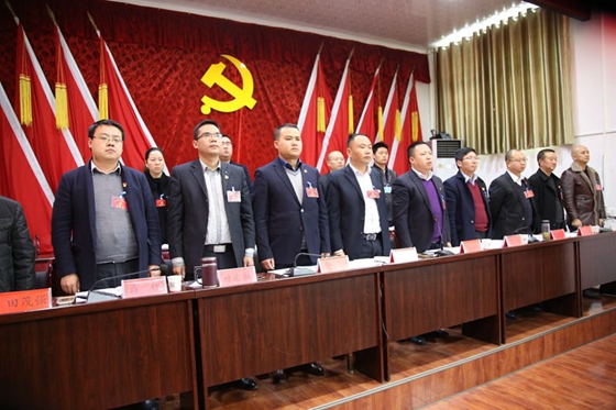 中國共產(chǎn)黨風(fēng)華鎮(zhèn)第七屆二次會(huì)議勝利召開