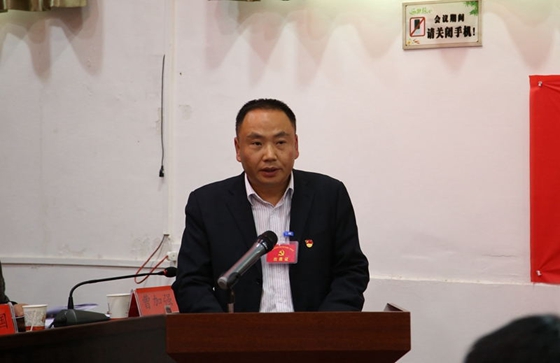 中國共產(chǎn)黨風(fēng)華鎮(zhèn)第七屆二次會(huì)議勝利召開