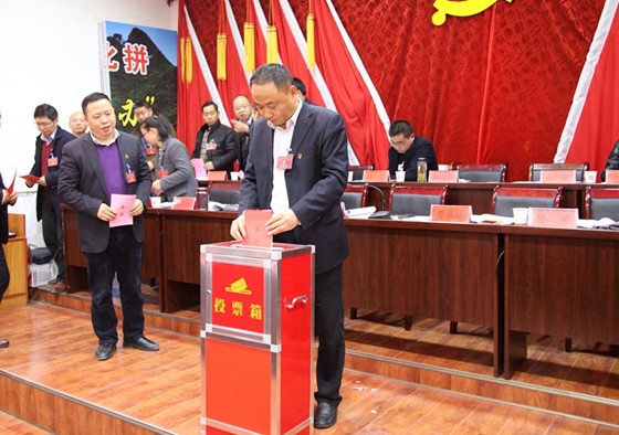 中國共產(chǎn)黨風(fēng)華鎮(zhèn)第七屆二次會(huì)議勝利召開
