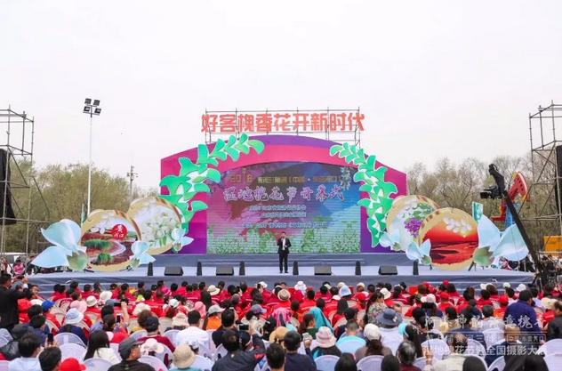 走進(jìn)“孤島”系列報(bào)道之以槐為媒，大報(bào)大刊共赴“孤島”共話文化興鎮(zhèn)