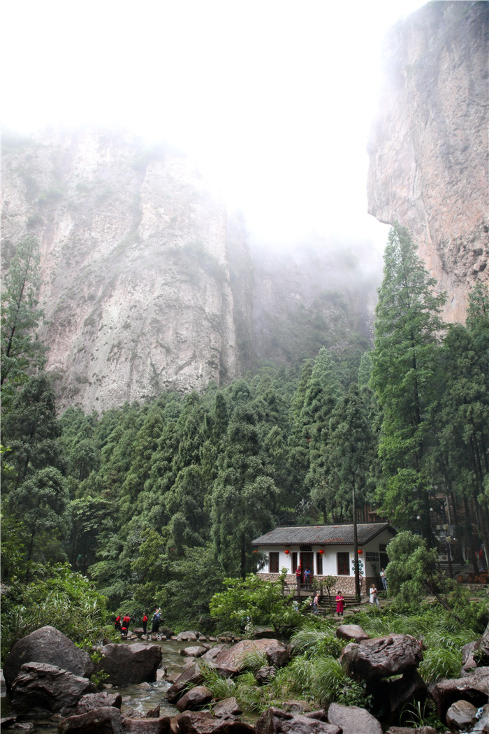雁蕩山的壯想—斌心伏羲娃參加紀(jì)念趙樸初與南懷瑾先生座談會側(cè)記