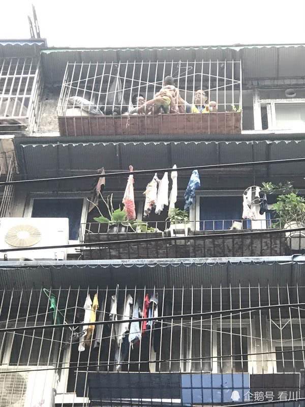 男童從8樓墜落“掛”7樓護欄外 鄰居將其一把抓住