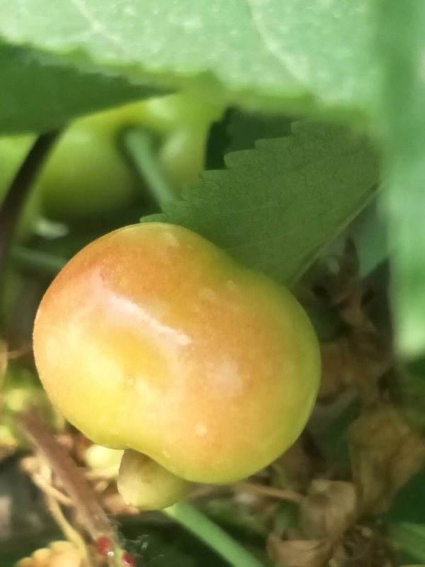 風雨暮年圓夢人——杰地風華創(chuàng)始人靳宗祥