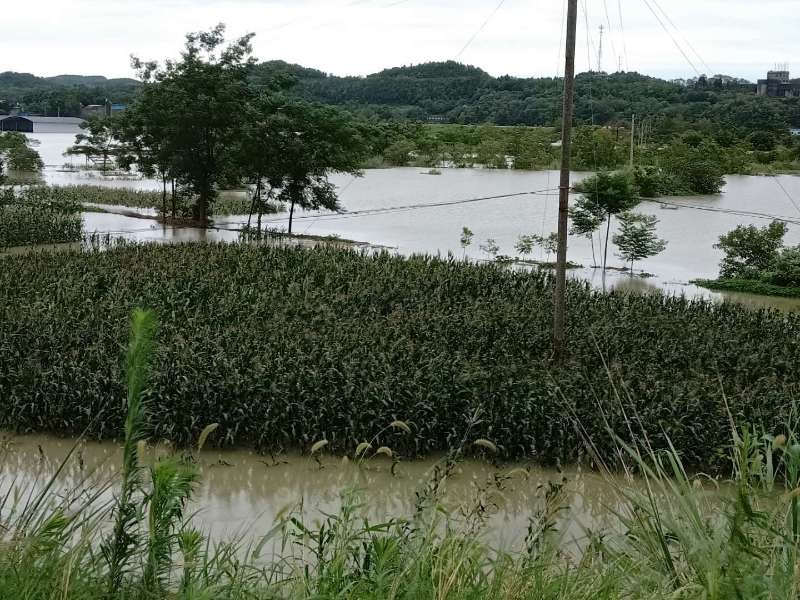 面對七十年不遇洪災：綿陽民政抗洪搶險顯身手