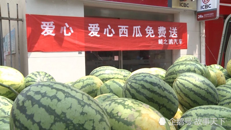 河南西瓜便宜難賣(mài) 愛(ài)心老板購(gòu)10萬(wàn)斤送人遭哄搶
