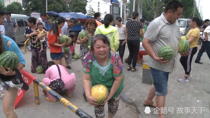 河南西瓜便宜難賣(mài) 愛(ài)心老板購(gòu)10萬(wàn)斤送人遭哄搶
