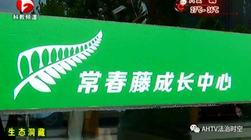 合肥一機構(gòu)被曝虐童、用過期食品 官方:無證經(jīng)營