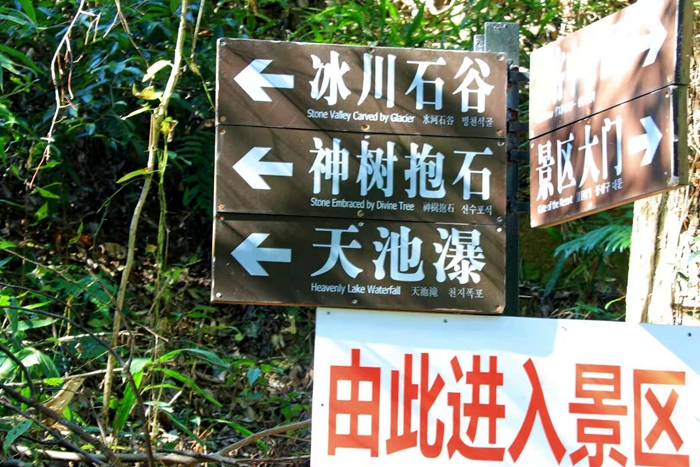 可入詩入畫的妙境～九華天池
