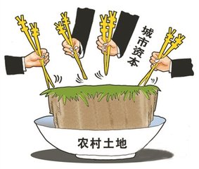 社會資本下鄉(xiāng)，建企業(yè)還是建村莊？