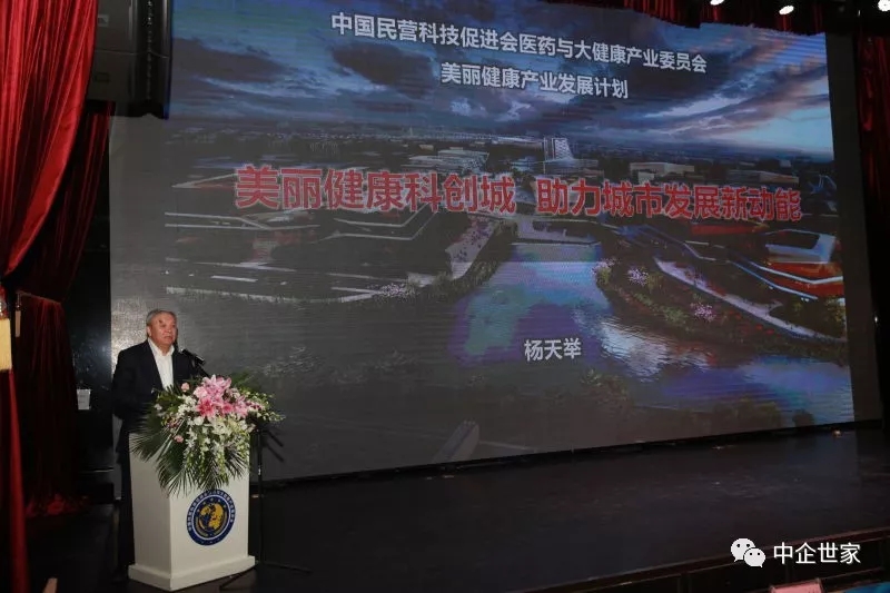 中國民營科技促進會醫(yī)藥與大健康產(chǎn)業(yè)委員會圓滿換屆，王建華當選會長