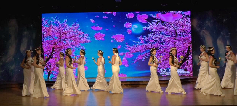 2019首屆社會責(zé)任春節(jié)晚會在西釣魚臺舉辦