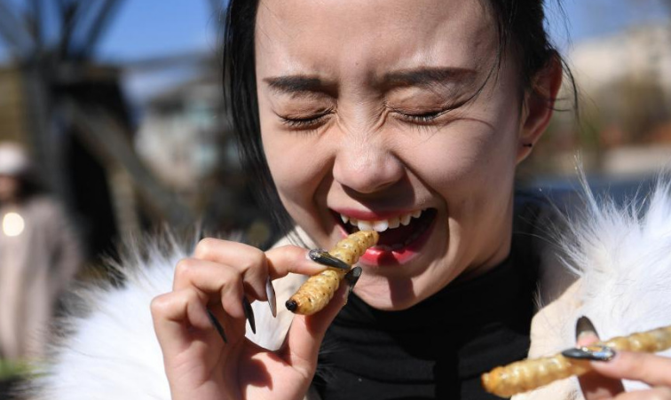 麗江辦免費(fèi)品嘗昆蟲(chóng)宴 游客圍成圈嘗鮮