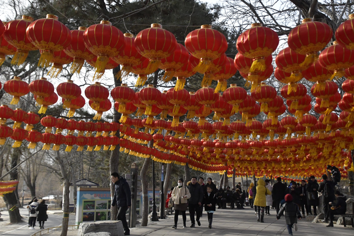 圓明園冬景——李月攝影