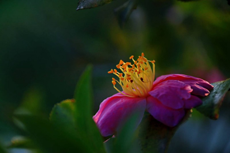 　春暖花開時