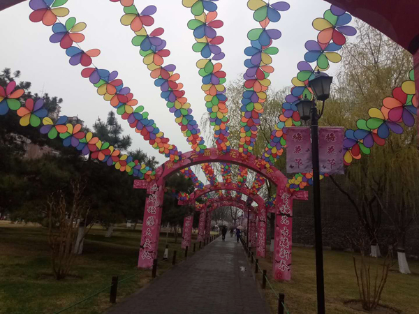 墻頭柳色千般翠 雨里梅花分外嬌——明城墻遺址公園