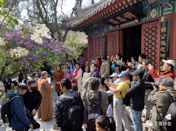 己亥法源寺丁香詩會——我在等風(fēng)，也等你！