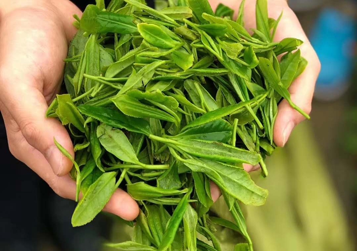  就業(yè)是民生之本，創(chuàng)業(yè)是就業(yè)之源