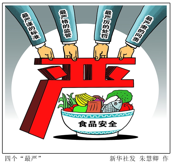 國務(wù)院食品安全辦負責(zé)人就食品安全工作的意見答記者問