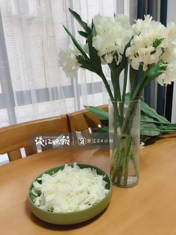 羨慕！他為妻子打造500多種植物花園，只為結(jié)婚時一個許諾！