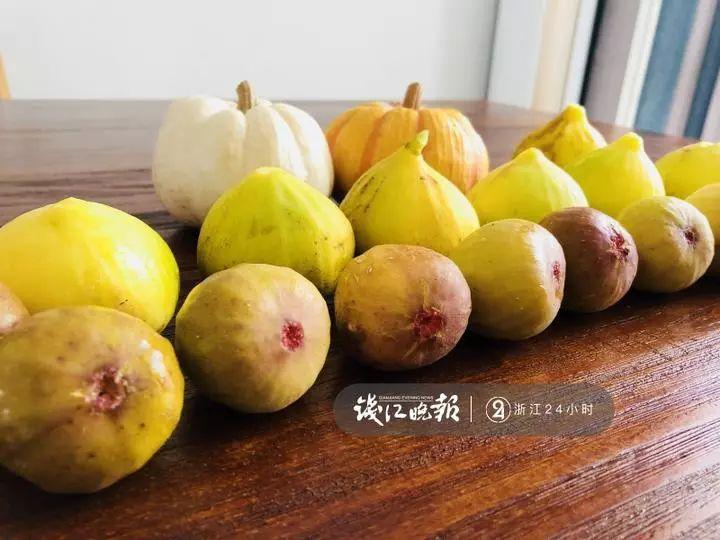 羨慕！他為妻子打造500多種植物花園，只為結(jié)婚時一個許諾！