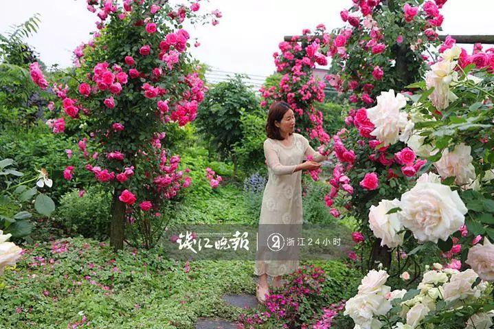 羨慕！他為妻子打造500多種植物花園，只為結(jié)婚時一個許諾！