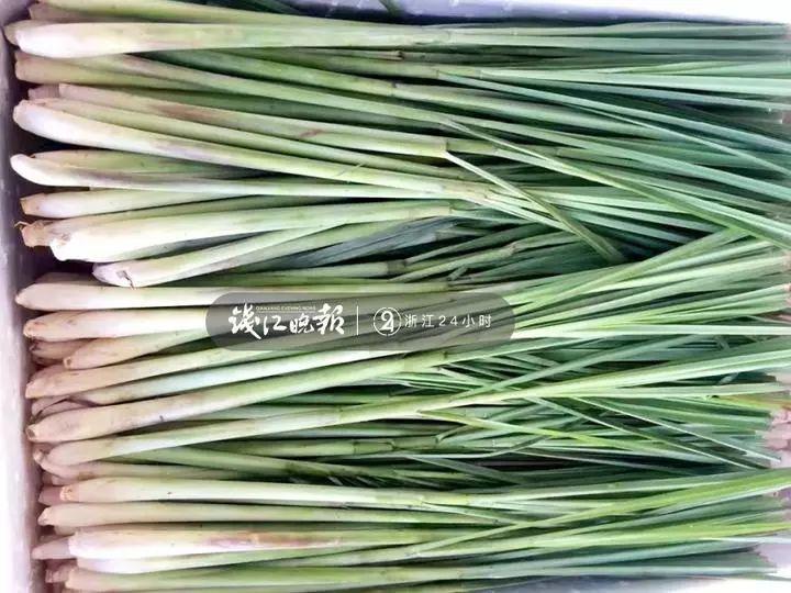 羨慕！他為妻子打造500多種植物花園，只為結(jié)婚時一個許諾！