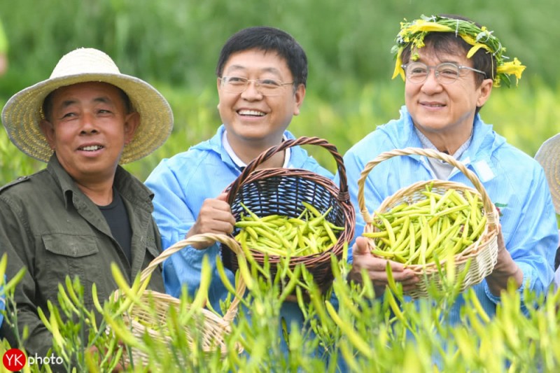 成龍扶貧，變身大同黃花代言人，還買(mǎi)了100萬(wàn)的黃花菜