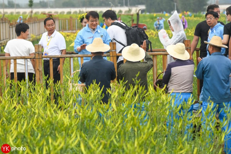 成龍扶貧，變身大同黃花代言人，還買(mǎi)了100萬(wàn)的黃花菜