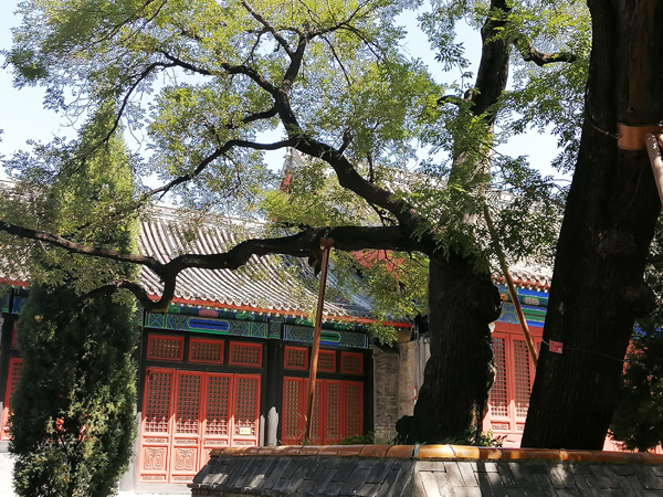 初秋艷陽下的國子監(jiān)與孔廟