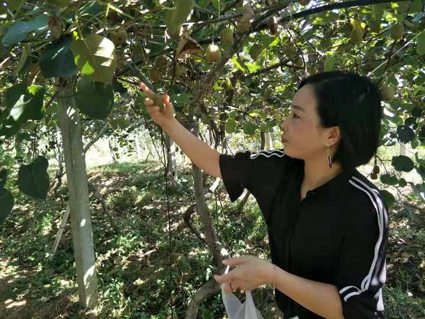 安徽太湖縣春草愛心聯(lián)盟慈善協(xié)會(huì)會(huì)員走進(jìn)金夢(mèng)灣生態(tài)農(nóng)莊