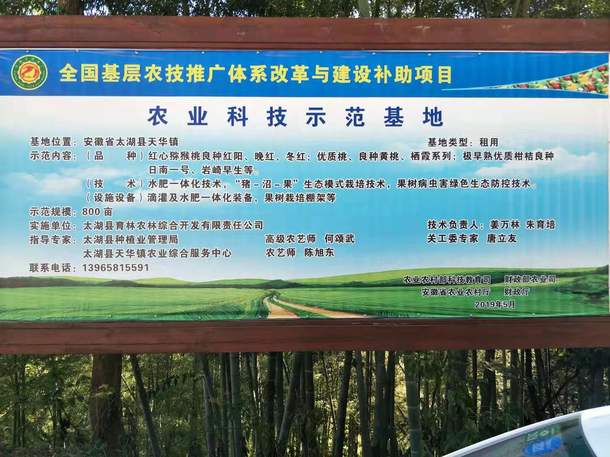 安徽太湖縣春草愛心聯(lián)盟慈善協(xié)會(huì)會(huì)員走進(jìn)金夢(mèng)灣生態(tài)農(nóng)莊
