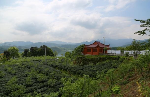 安徽太湖縣春草愛心聯(lián)盟慈善協(xié)會(huì)會(huì)員走進(jìn)金夢(mèng)灣生態(tài)農(nóng)莊