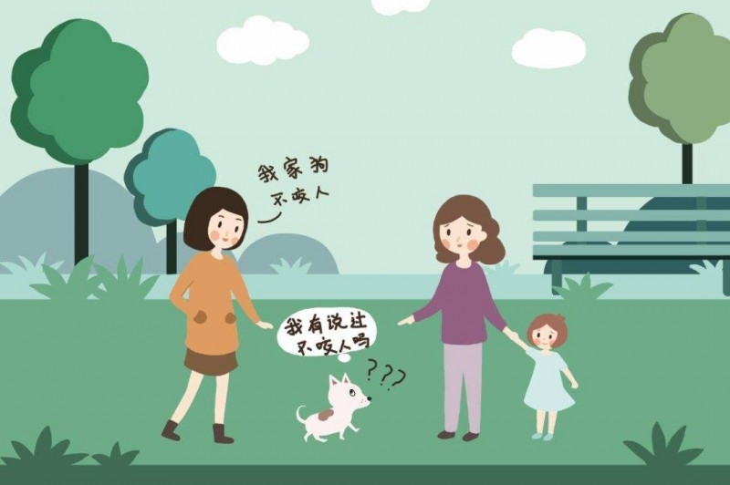 遛狗不拴繩行為很常見(jiàn) 不文明養(yǎng)犬行為怎么管？