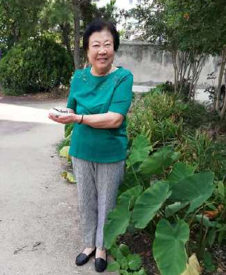 去故鄉(xiāng)（如東）抓一把泥土