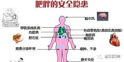 百病之源！肥胖的九大危害，你知道幾個(gè)？
