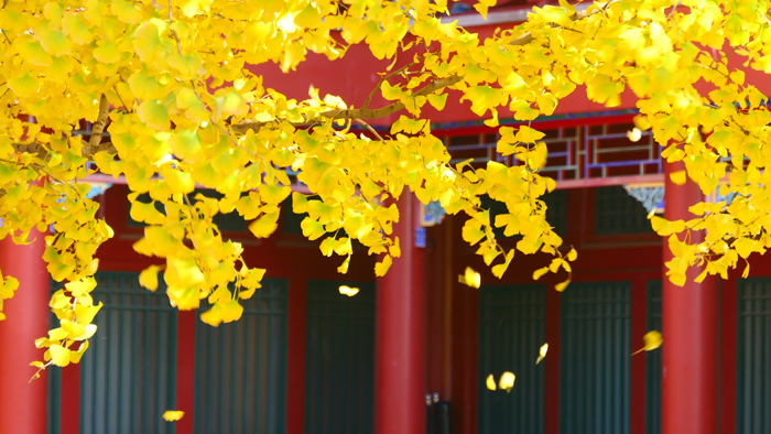 真覺(jué)寺金剛寶座塔