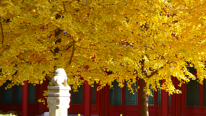 真覺(jué)寺金剛寶座塔