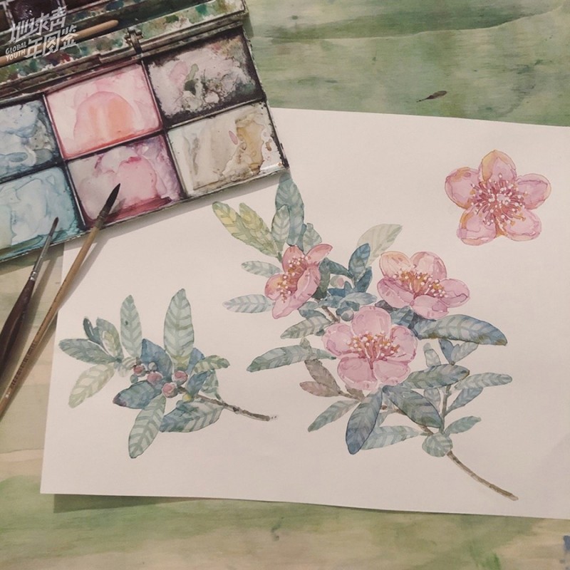 人五:畫了上百種水彩植物的插畫師
