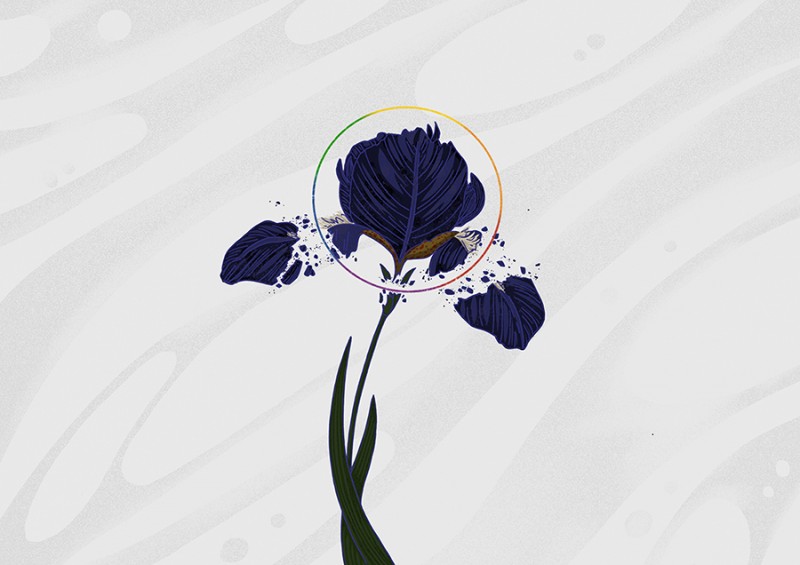 人五:畫了上百種水彩植物的插畫師
