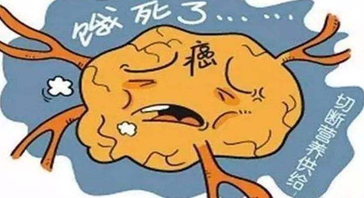 2019 十大“科學(xué)”流言騙了誰
