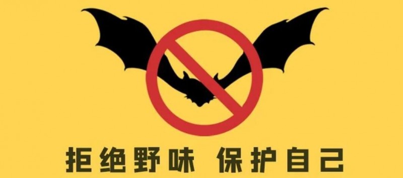 12省市已出臺(tái)“禁野令”，亂吃野味以后怎么罰？