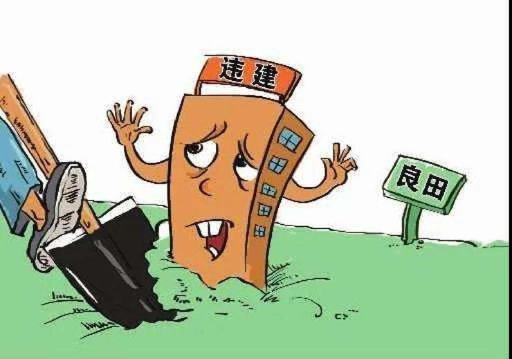 堅(jiān)決遏制亂占耕地建房，還需要怎樣用力？