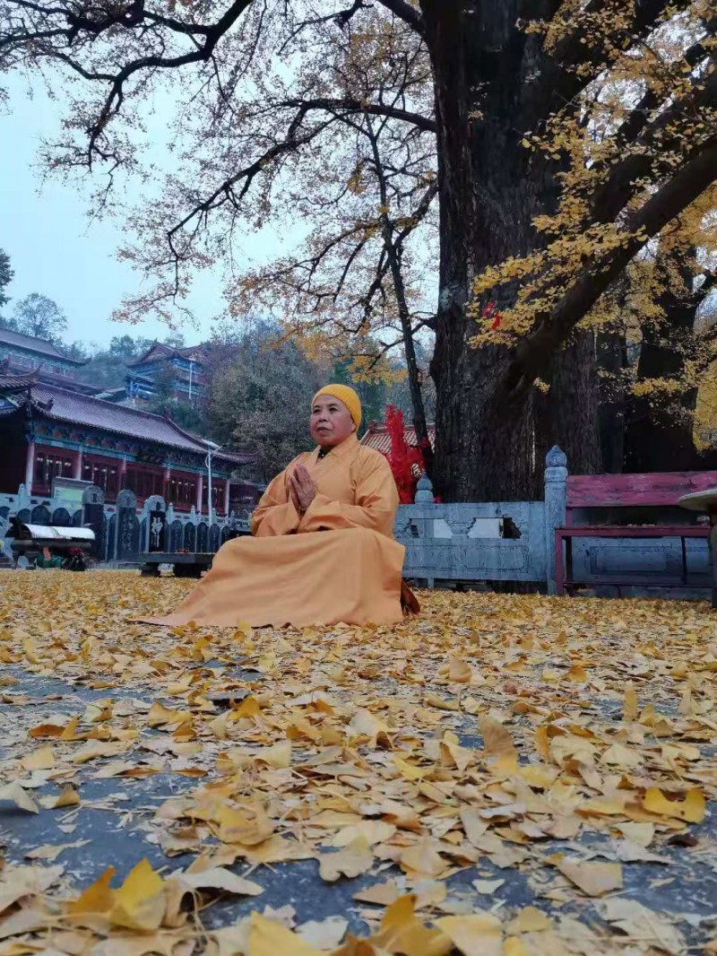 釋印來法師三周年紀(jì)念法會(huì)在河南魯山文殊寺舉辦