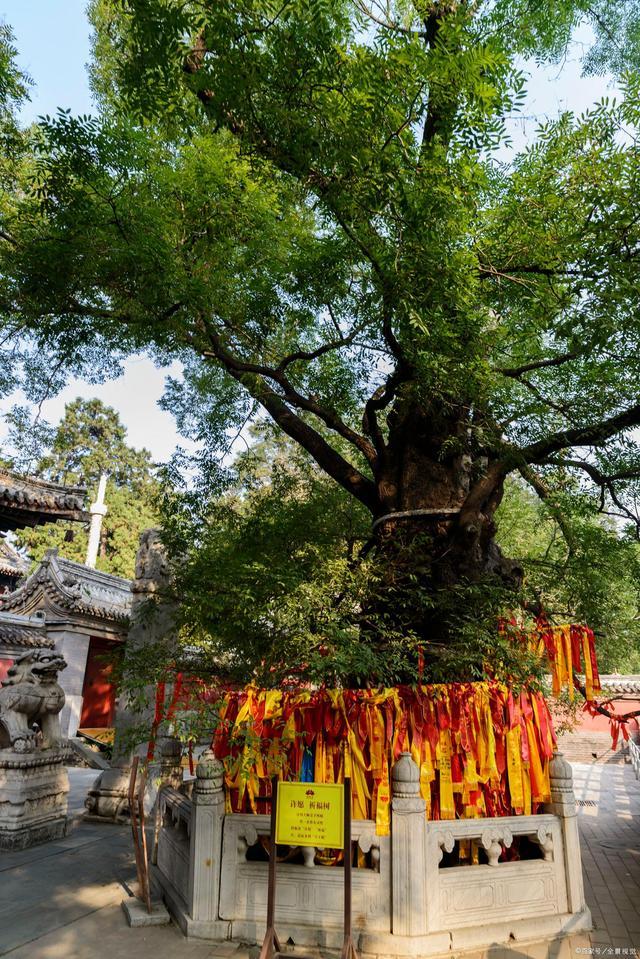 京西有座千年寺廟，授戒需要皇帝赦諭，距離北京只有70公里