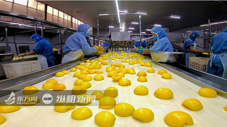走遍全國20個(gè)了不起的小鎮(zhèn)，我們感受到了不起的工匠精神