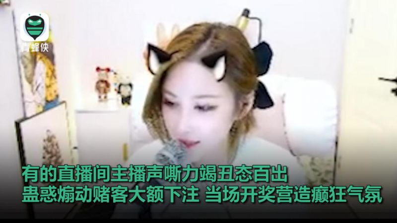 輸光學(xué)費(fèi)、房款、公款……直播間聚賭網(wǎng)上蔓延 毒害青少年觸目驚心