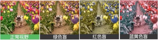 同仁醫(yī)生:4個(gè)眼科測(cè)試圖,1分鐘測(cè)眼睛是否健康！